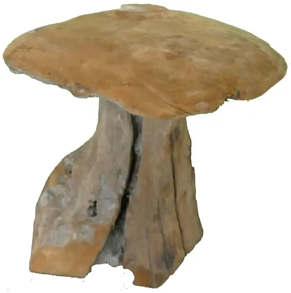Product image 1 of the product “Mushroom, Teak root (Plantation), in the sizes from 30 to 50cm, natural ”